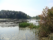 Western Michigan [2009] 376
